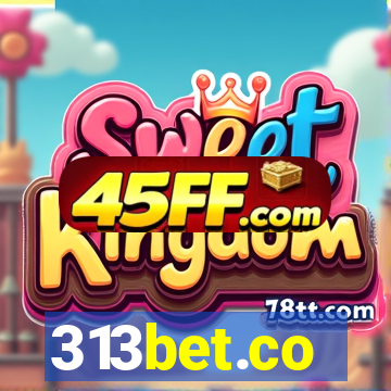 313bet.co