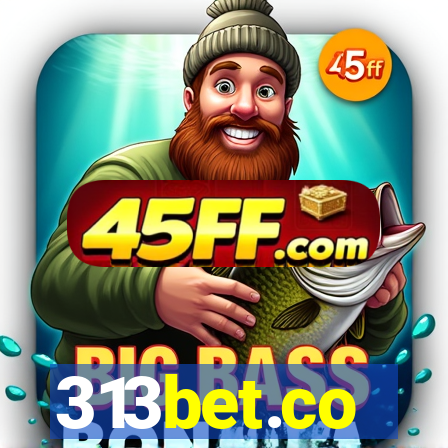 313bet.co