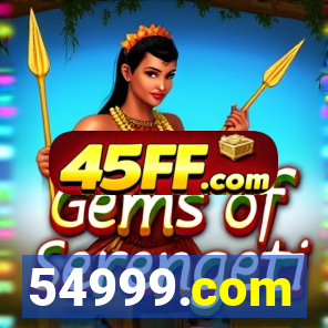 54999.com