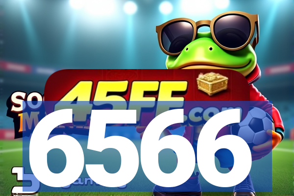 6566