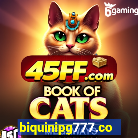 biquinipg777.com