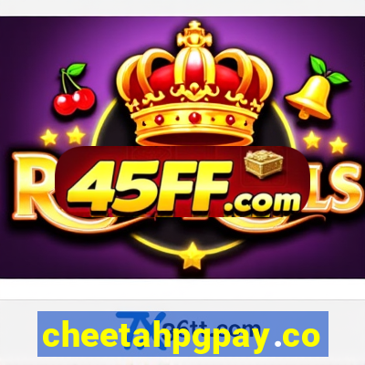 cheetahpgpay.com