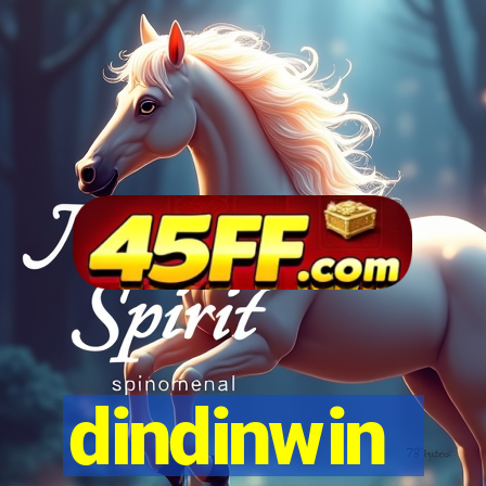 dindinwin