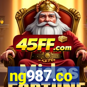 ng987.co