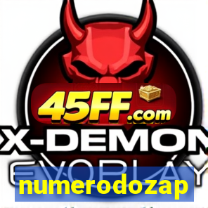 numerodozap