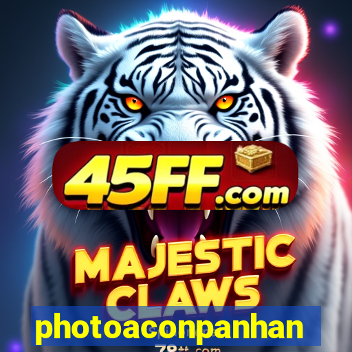 photoaconpanhante.