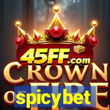 spicybet-3.com