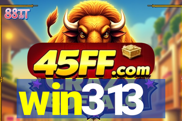 win313