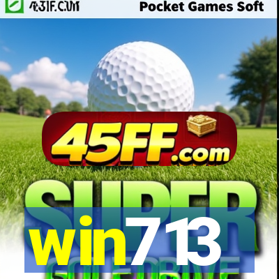 win713