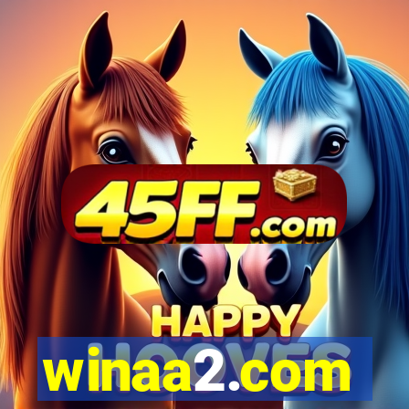 winaa2.com